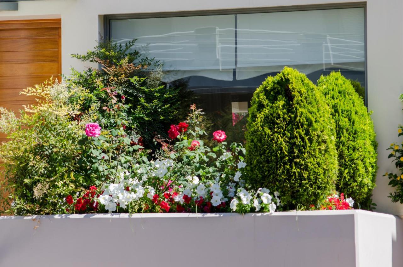 Villa Serenity Pórto Ráfti Eksteriør bilde