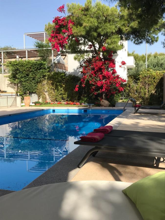 Villa Serenity Pórto Ráfti Eksteriør bilde